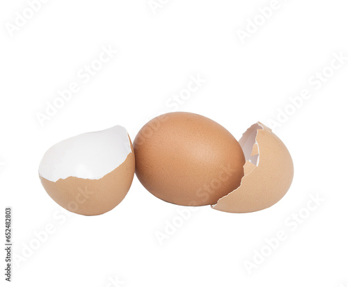 the double shell of an egg