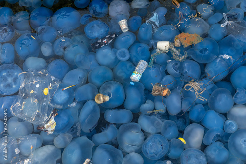 Close-up of Jellyfish infestation seen on sea surface as background.