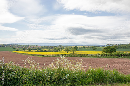 Springtime fields in the UK