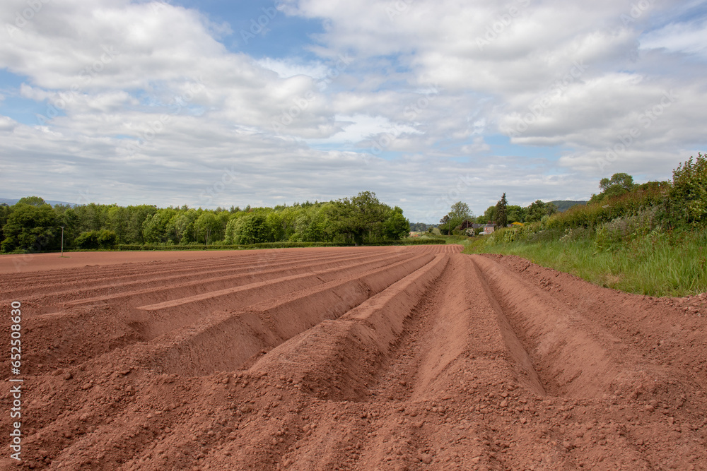 Fototapeta premium Ploughed fields in the UK.