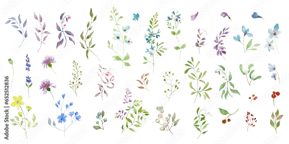Watercolor floral  set. Hand drawing illustration isolated on white background. Vector EPS. - obrazy, fototapety, plakaty 