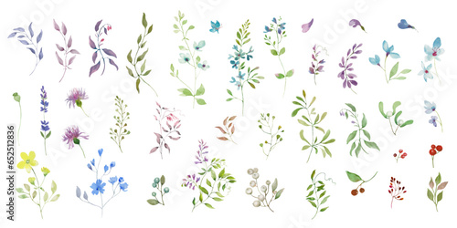 Watercolor floral set. Hand drawing illustration isolated on white background. Vector EPS.