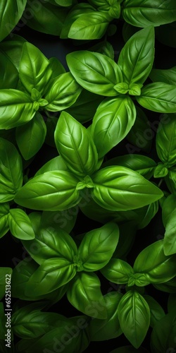 natural basil leaves ready for cooking.