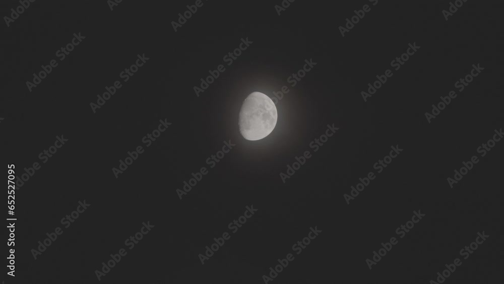 Tokyo, Japan - September 25, 2023: A half-moon covered with faint clouds
Tokyo, Japan - September 25, 2023: A half-moon covered with faint clouds
