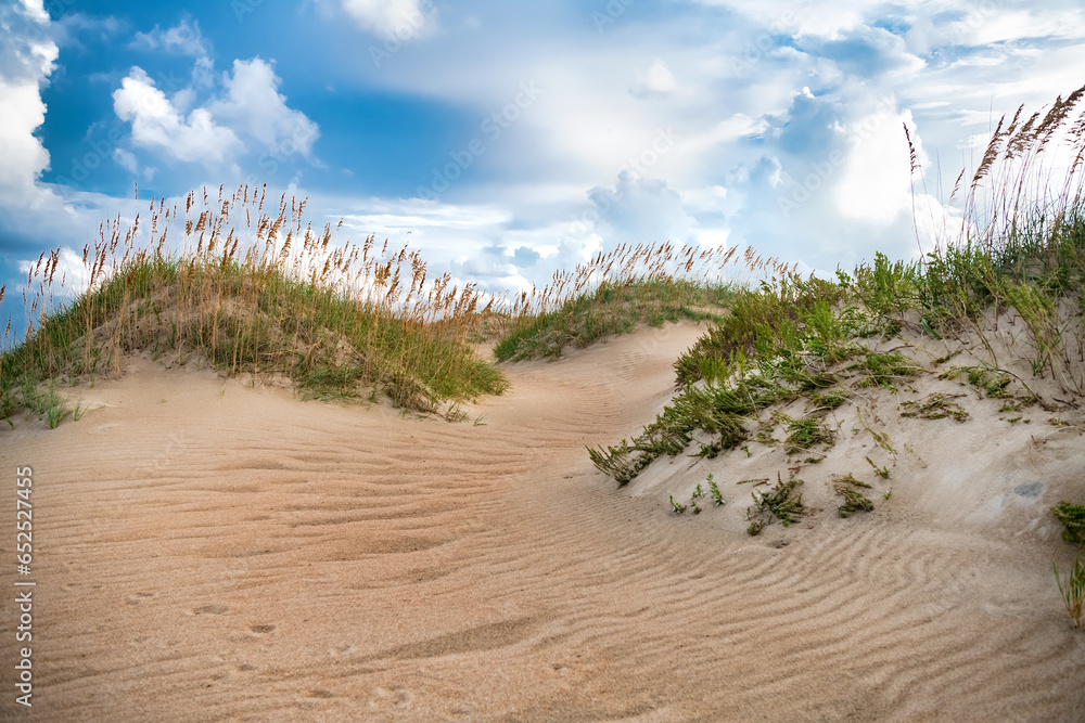 Sand, sea grass, clouds and dunes on the shore of the Atlantic Ocean.