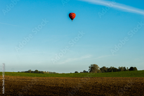 hot air balloon in the field