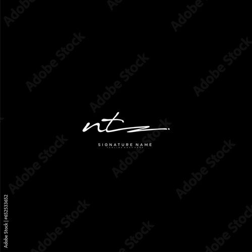 premium NT letter signature logo in handwriting art style monogram vector illustration template
