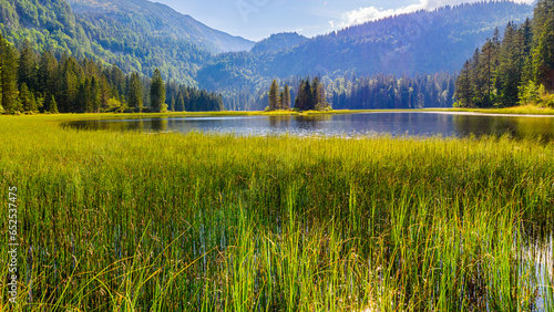 Obersee in Lunz am See, Niederösterreich photo