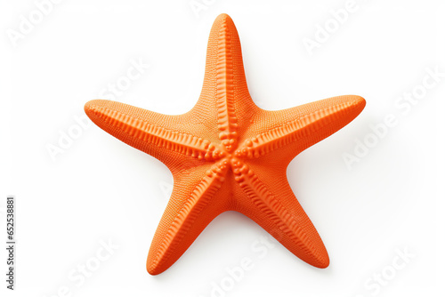 A vibrant orange or coral colored starfish showcasing marine life, isolated on a white background