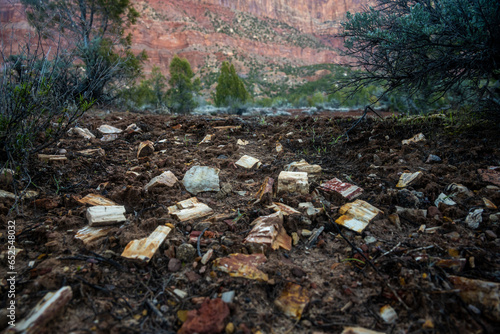 Petrified Wood Chips Along Chinle Trail In Zion photo