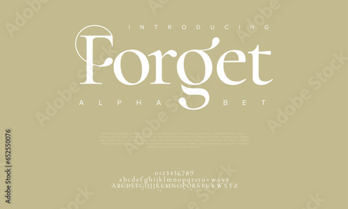Forget premium luxury elegant alphabet letters and numbers. Elegant wedding typography classic serif font decorative vintage retro. Creative vector illustration