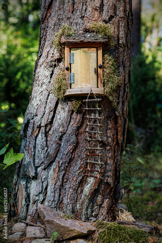 A small door in a tree trunk. photo