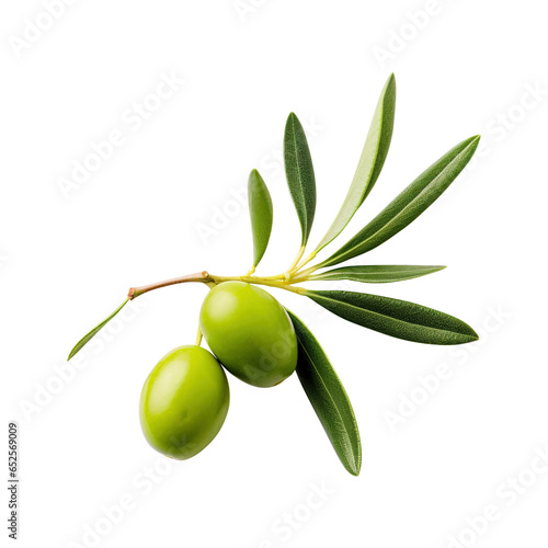 Wallpaper Mural green olives with leaves on branch isolated on transparent background Remove png, Clipping Path Torontodigital.ca