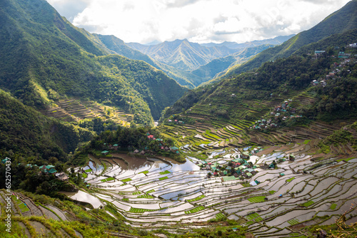 Rice and water on terraces, world heritage Ifugao rice terraces in Batad