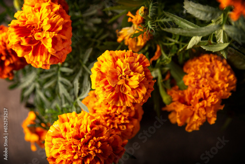 Cempasuchil orange flowers or Marigold. (Tagetes erecta) Traditionally used in altars for the celebration of the day of the dead in Mexico