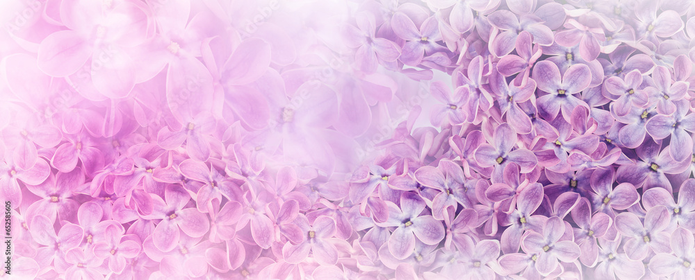 Fototapeta premium Floral pink spring background. Lilac flowers background. Nature.