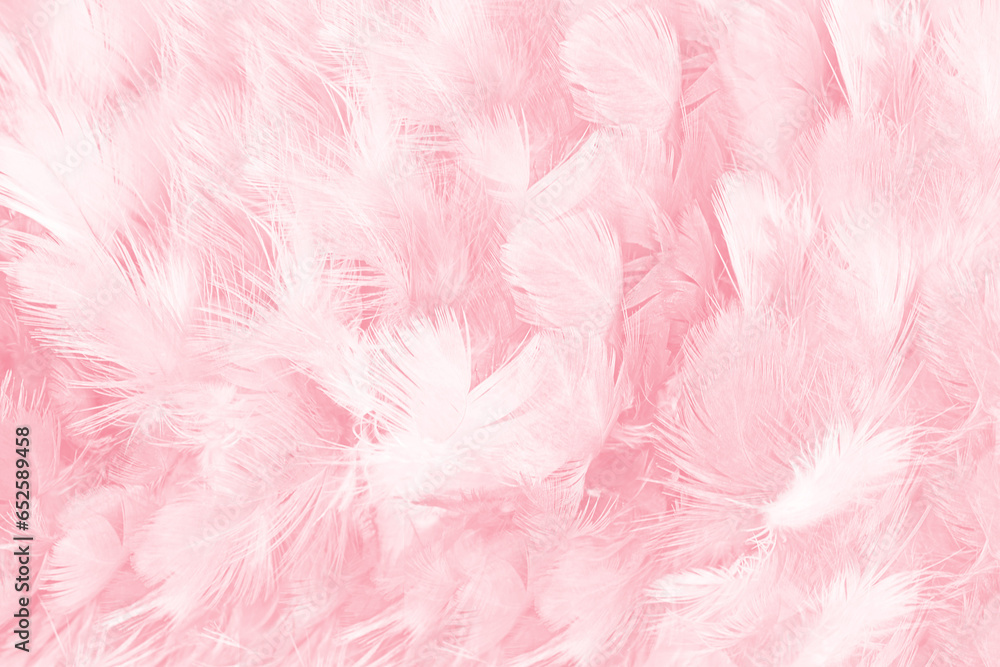 Fototapeta premium Coral pink vintage,feather pattern texture background,pastel soft fur for baby to sleep.