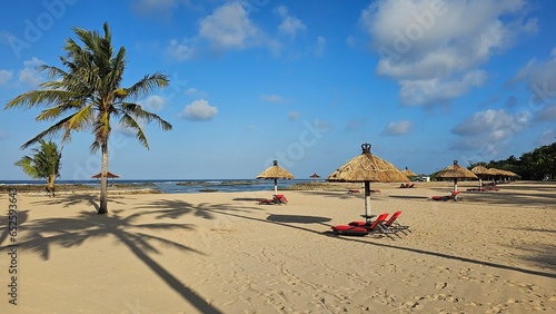 beach with trees photo