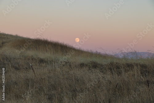 The Sturgeon moon rose just after sunset in the hills of the East Bay