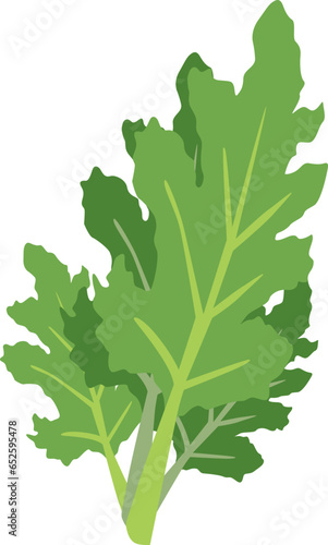 arugula
