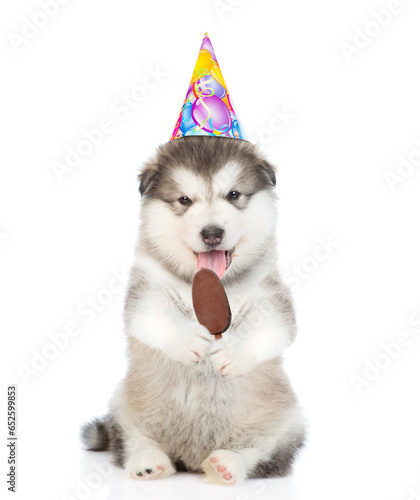 Cute Malamute puppy wearing party cap licks chocolate ice cream. isolated on white background © Ermolaev Alexandr