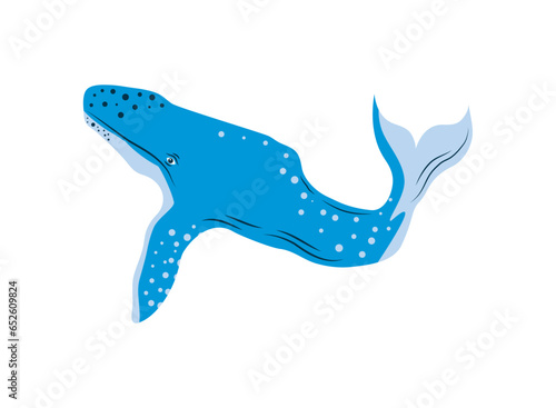 humpback sealife illustration icon