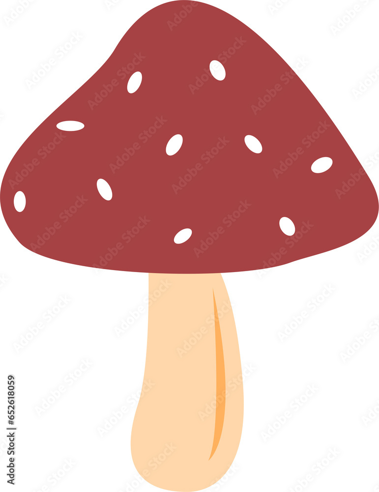 fly agaric mushroom