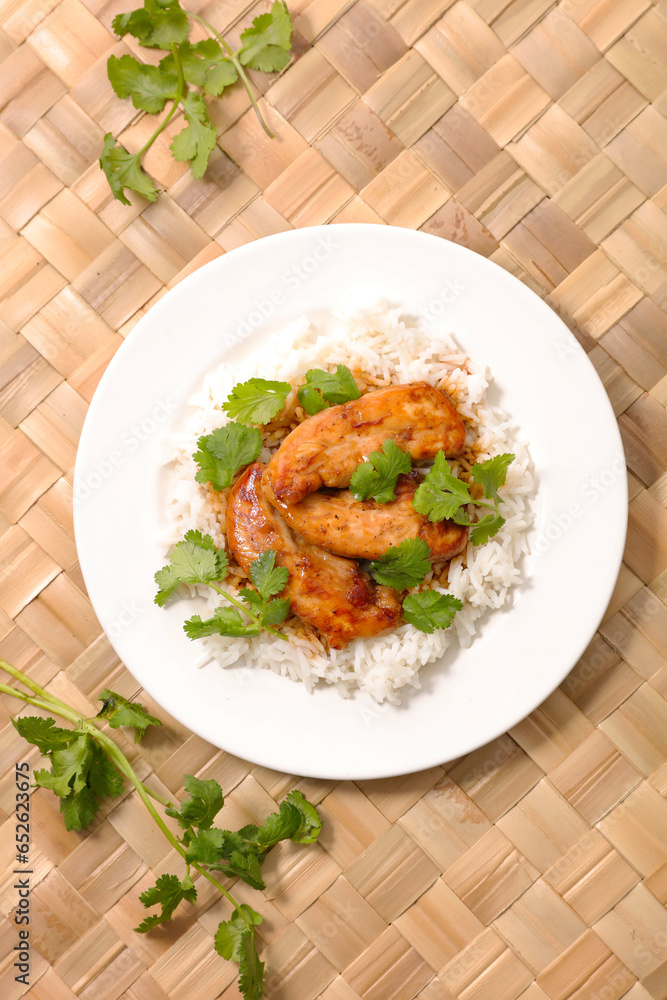 rice and spicy curry- Indian dish rice and spicy curry- Indian dish