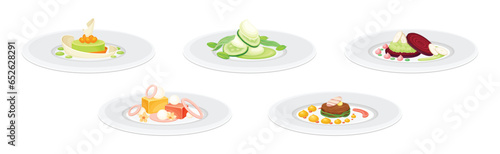 Haute Cuisine or Grande Cuisine with Meticulous Food Serving on Plate Vector Set