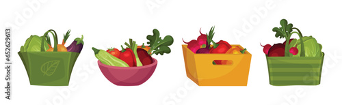 Vegetables in Bowl and Bag as Fresh Harvested Crop Vector Set