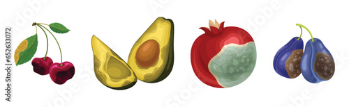 Rotten Fruit with Spoiled Bad Unhealthy Food Vector Set