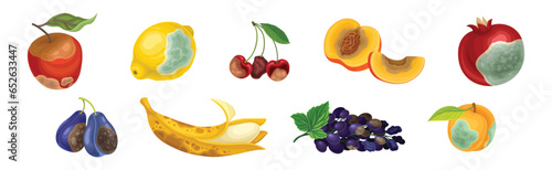 Rotten Fruit with Spoiled Bad Unhealthy Food Vector Set