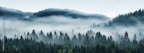 A Bird's Eye View Of A Pine Forest, Naturalism, Anamorphic Widescreen, Thick Northern Pacific Rain Forest With Low Cloud © BOMB8
