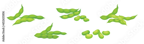 Soy Grain Legume or Pulse Crop with Green Pod and Beans Vector Set