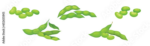 Soy Grain Legume or Pulse Crop with Green Pod and Beans Vector Set