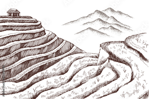 Vector landscape of terraced rice fields