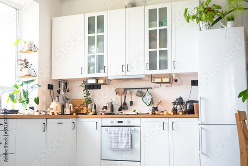 Light white modern rustic kitchen decorated with potted plants, loft-style kitchen utensils. Interior of a house with homeplants