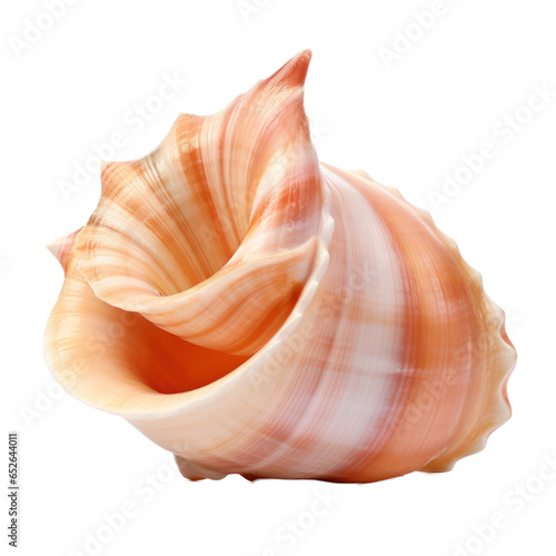 Pink sea shell,conch isolated on transparent background,Transparency  © SaraY Studio 