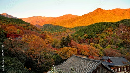 Autumn scenery of Hwaeomsa Temple in Gurye, Korea