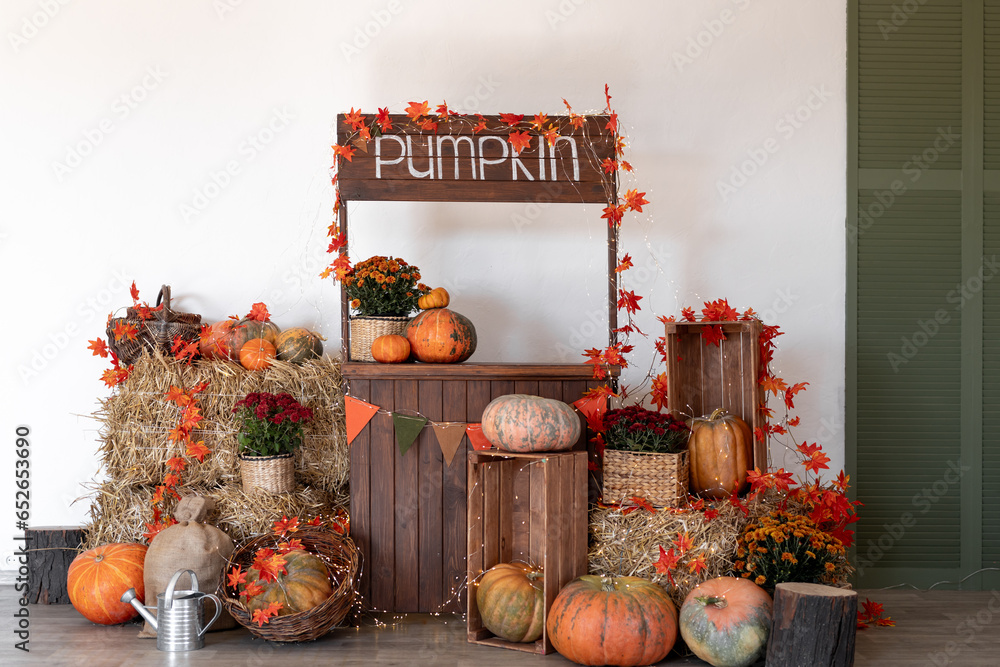 Obraz premium Pumpkin shop. Pumpkins in baskets and boxes. Many different pumpkins for sale. Concept of autumn, harvest and celebration.