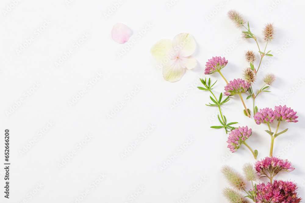 Naklejka premium wildflowers on white paper background