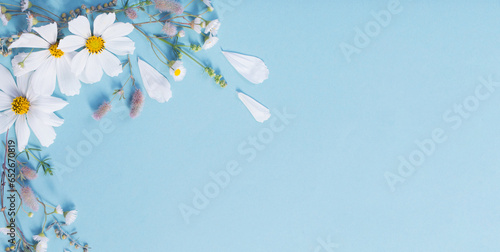 white flowers on paper background