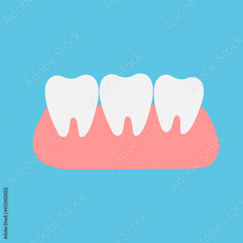 Healthy teeth in the gums. Side view. Dental design. Vector.