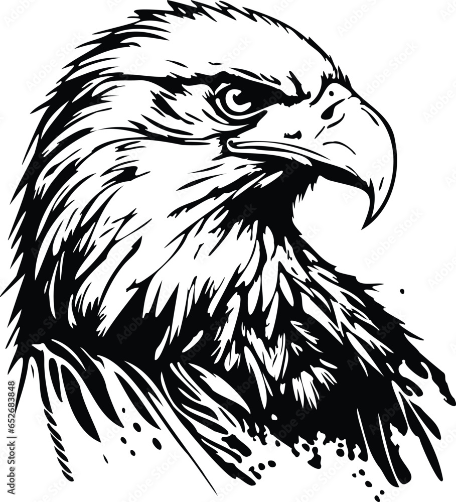 Obraz premium Realistic Bald Eagle Bird Head