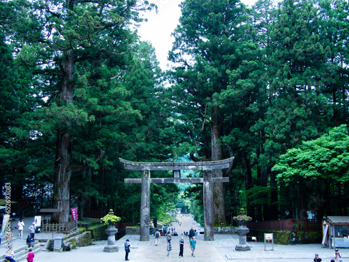 Tori dans le parc des sanctuaires japonais de Nikko, près de Tokyo. 
