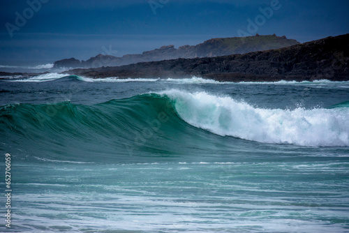 Wave at the coast