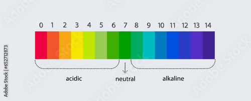 pH scale indicator chart. Acidic Alkaline measure. pH analysis chemical scale value test. Vector