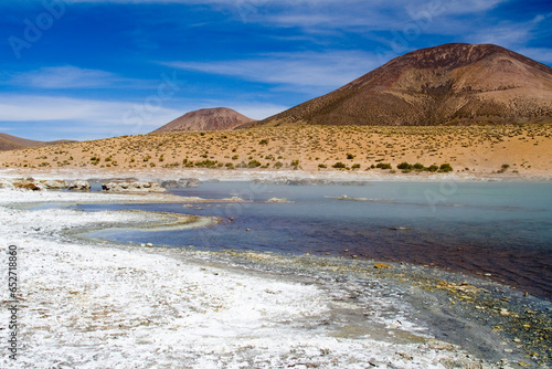 Obraz na płótnie Thermalquelle von Polloquere, Nationalreservat Las Vicunas, Altiplano, Chile, Südamerika w salonie