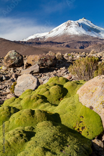 Obraz na płótnie Vulkan Gualatiri, Nationalreservat Las Vicuñas,Chile w salonie