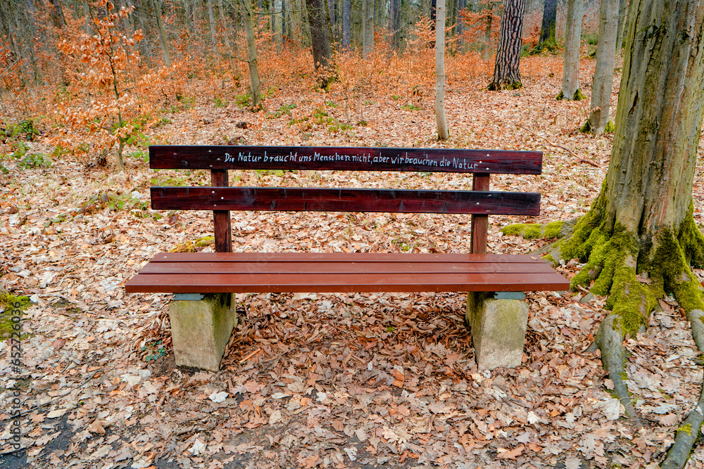 Lonely bench in a magical mixed forest with a writing on it in German - Nature does not need us, people, but we need nature Lonely bench in a magical mixed forest with a writing on it in German - Nature does not need us, people, but we need nature